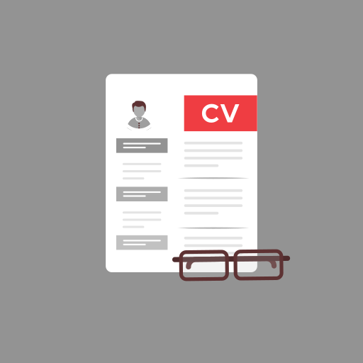 3 curriculum vitae