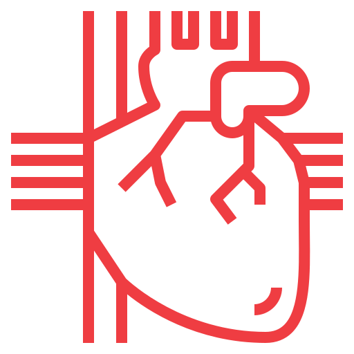 Cardiac Pulmonary Perfusion