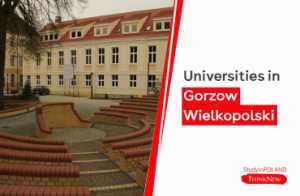 universities-in-gorzow-wielkopolski-study-in-poland-thinknew